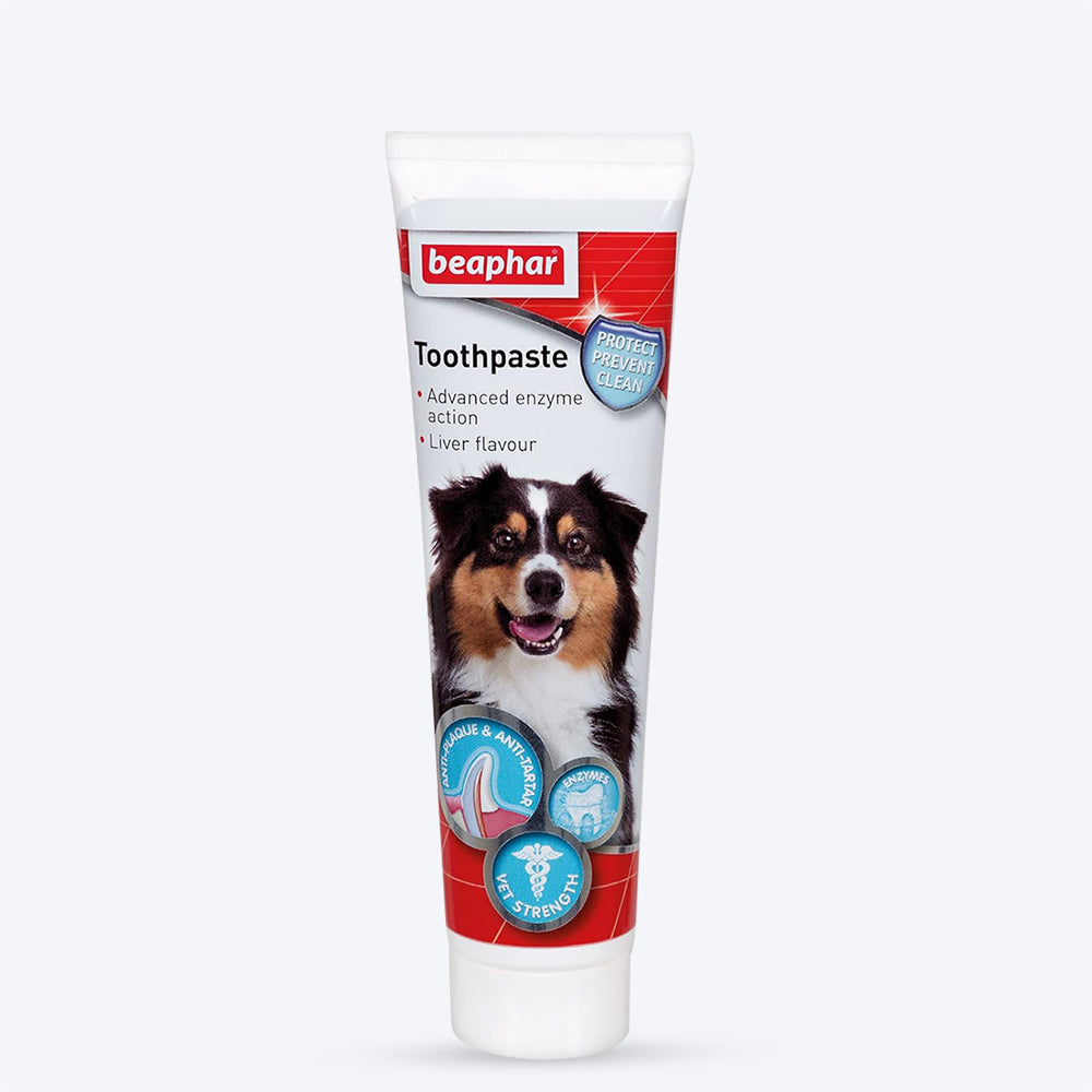 Beaphar Toothpaste For Dogs & Cats- 100 gm - Heads Up For Tails