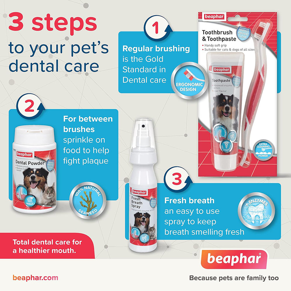 Beaphar Toothpaste For Dogs & Cats- 100 gm - Heads Up For Tails