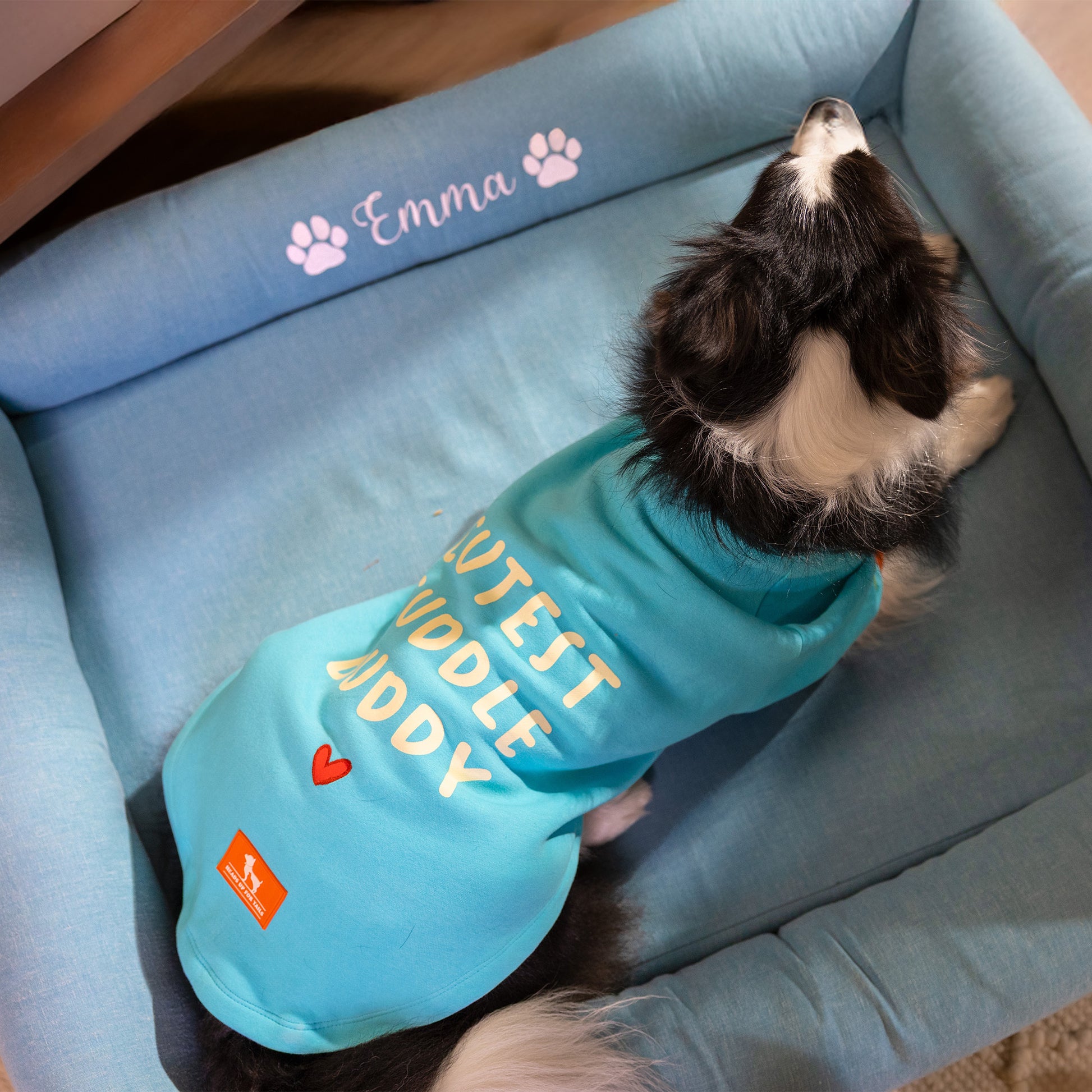 HUFT Cutest Cuddle Buddy Sweatshirt For Big Dog - Teal - Heads Up For Tails