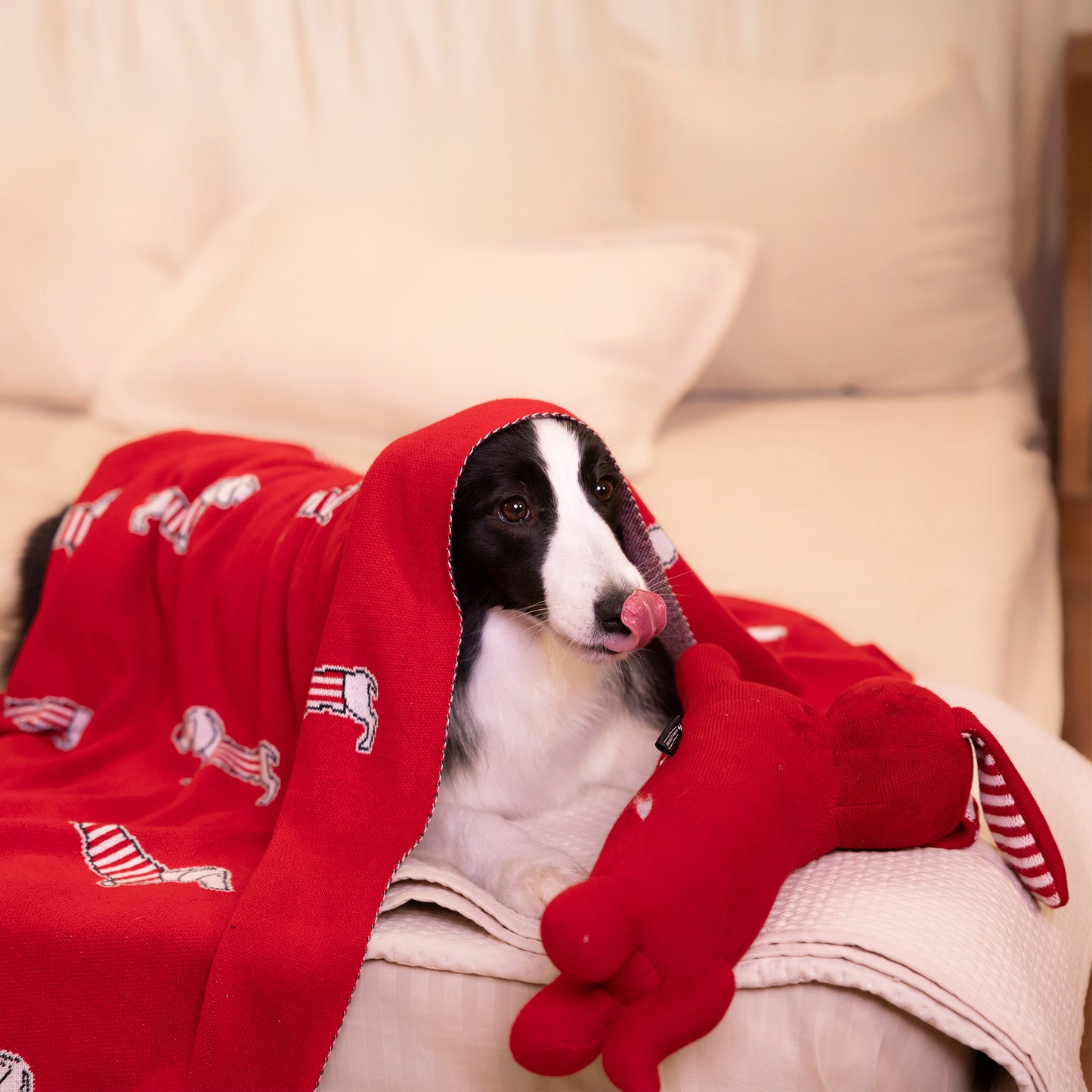 HUFT Stripes & Snouts Blanket With Cushion For Dog - Red - Heads Up For Tails