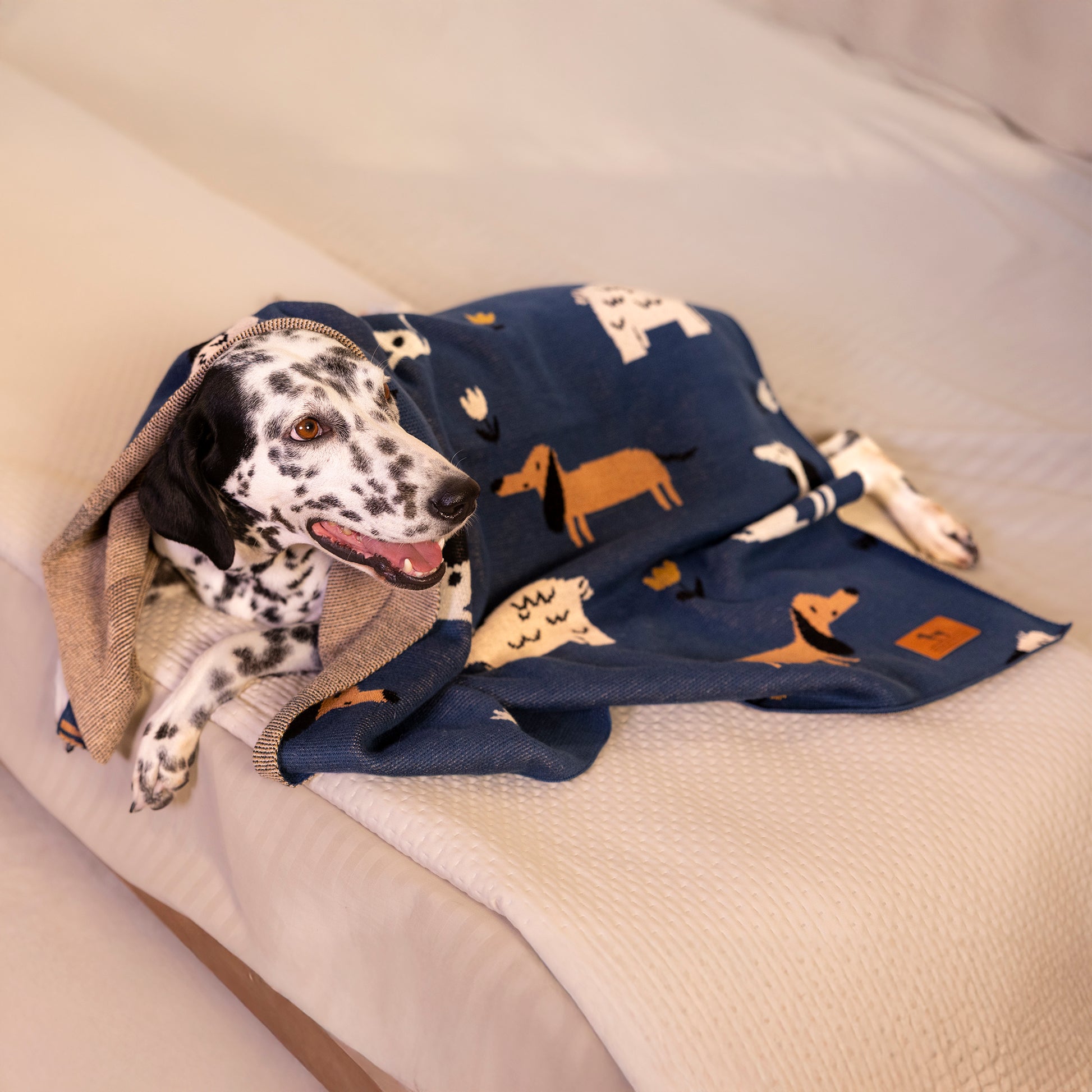 HUFT Bark & Bloom Blanket For Dog - Blue - Heads Up For Tails