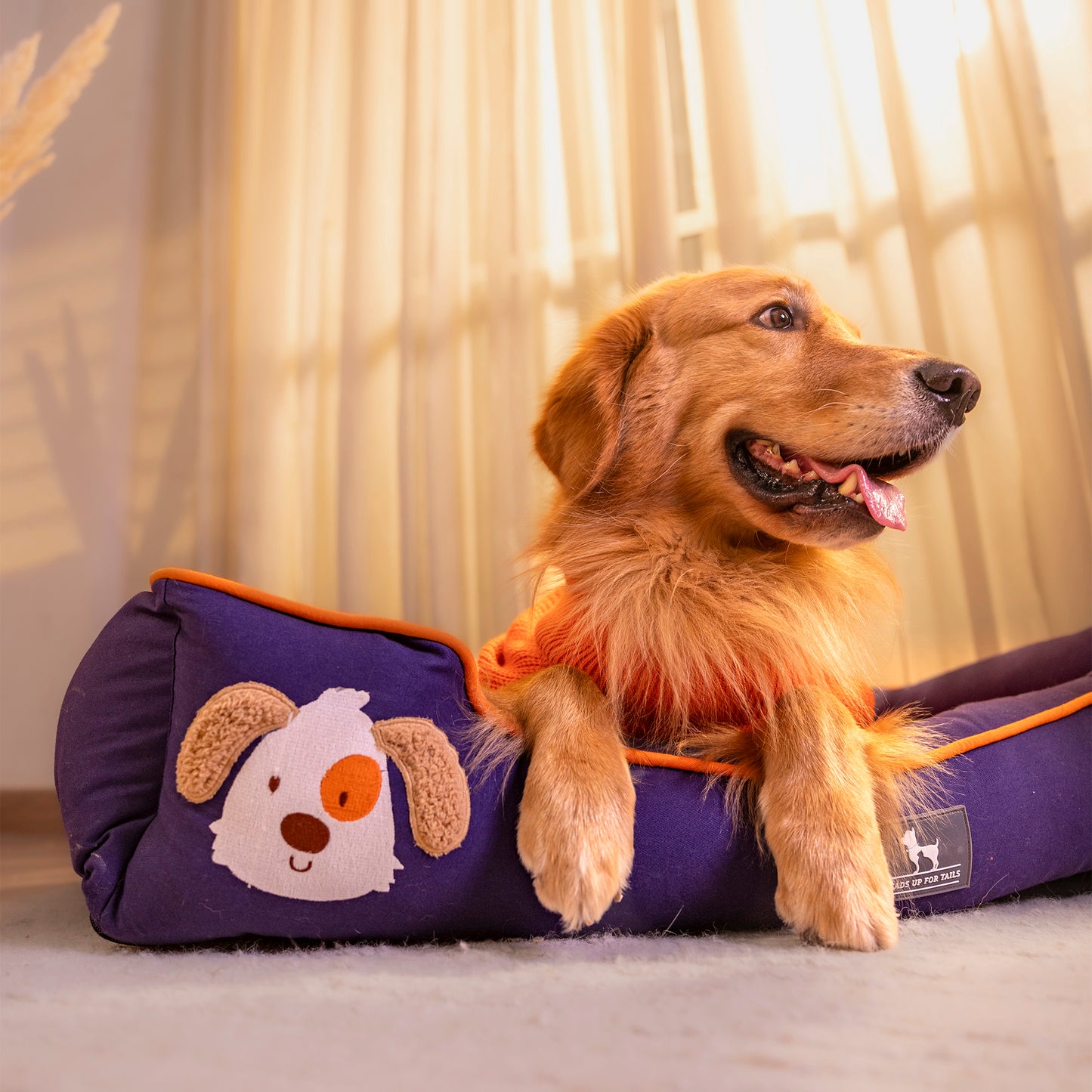 HUFT Woofie Classic Lounger Bed For Dog - Blue & Orange - Heads Up For Tails