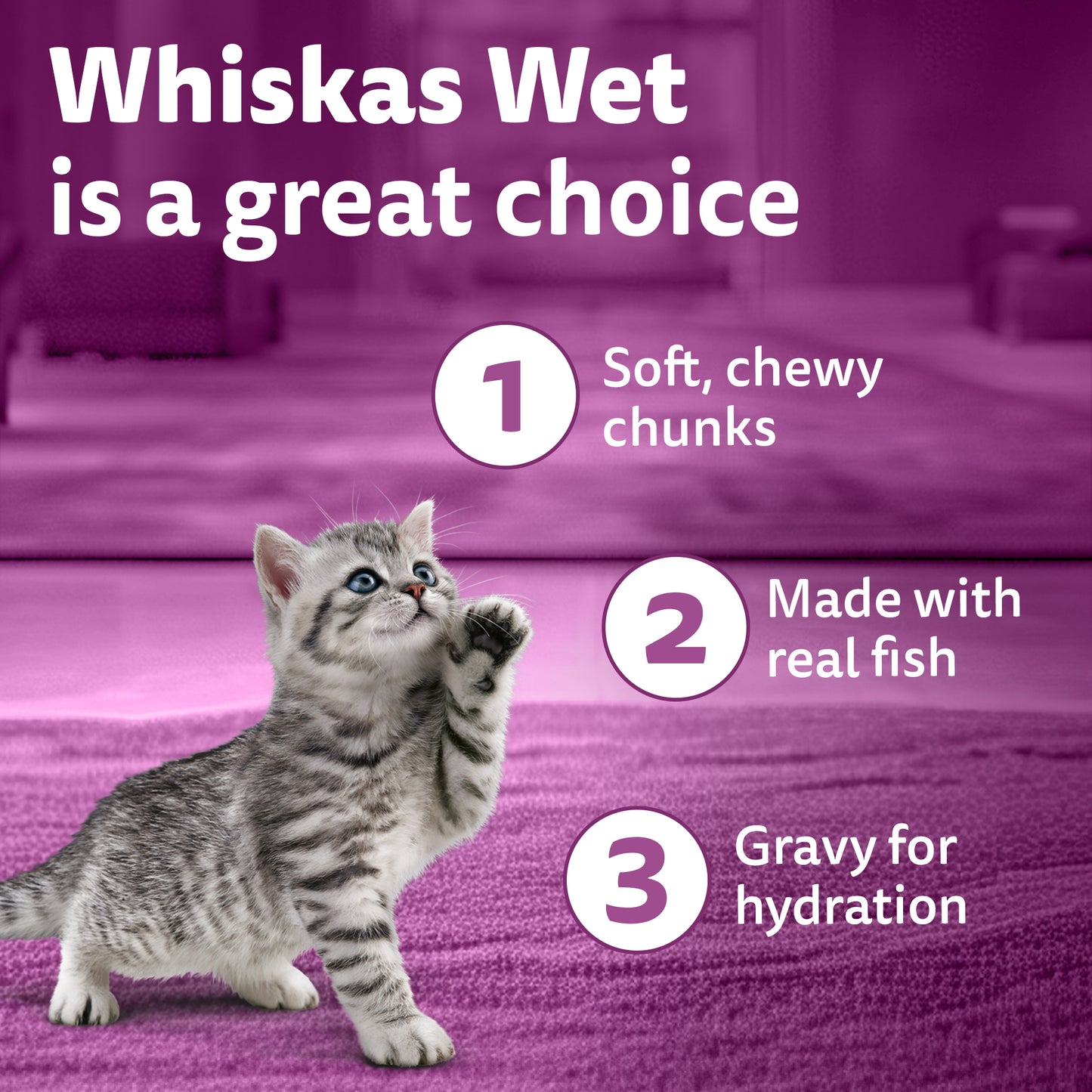 Whiskas Mackerel In Jelly Wet Food For Junior (2-12 Months) Kitten - 80 gm Pack - Heads Up For Tails