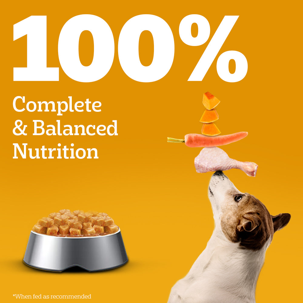 Pedigree Chicken Grilled Liver In Loaf With Vegetables Adult Dog Wet Food - 70 gm Packs - Heads Up For Tails