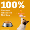 Pedigree Chicken Grilled Liver In Loaf With Vegetables Adult Dog Wet Food - 70 gm Packs - Heads Up For Tails