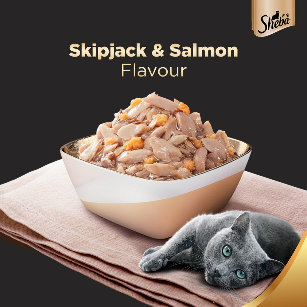 Sheba Skip Jack & Salmon Adult Wet Cat Food - 35 gm Packs - Heads Up For Tails