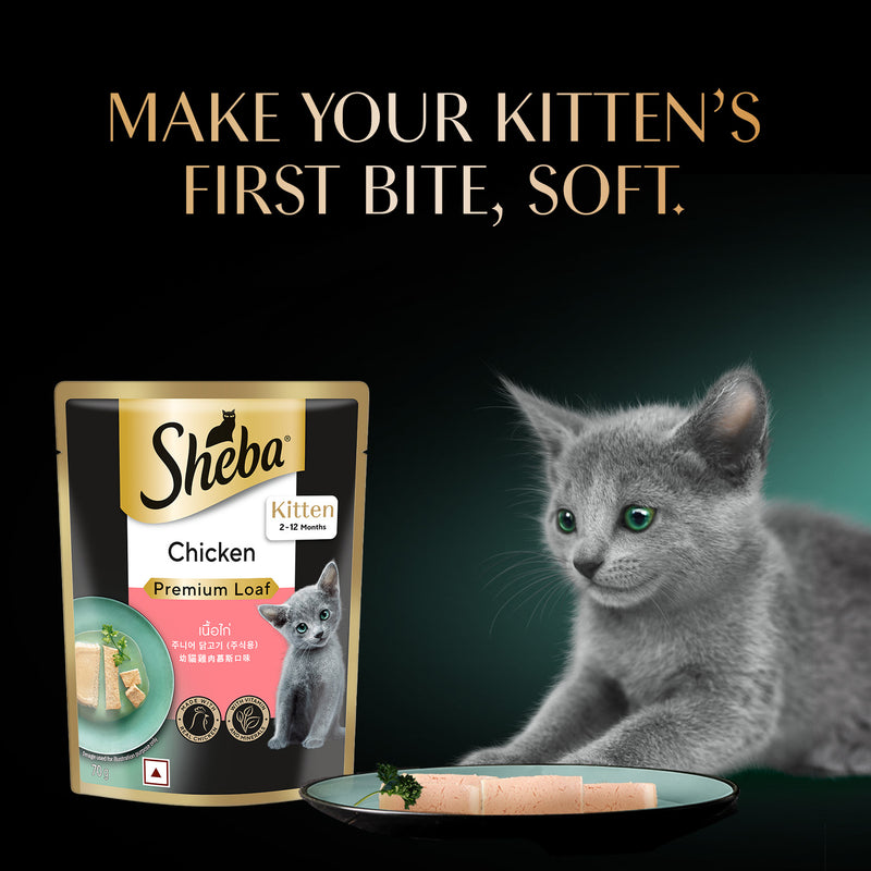 Sheba Chicken Premium Loaf Wet Kitten Food - 70 gm Packs