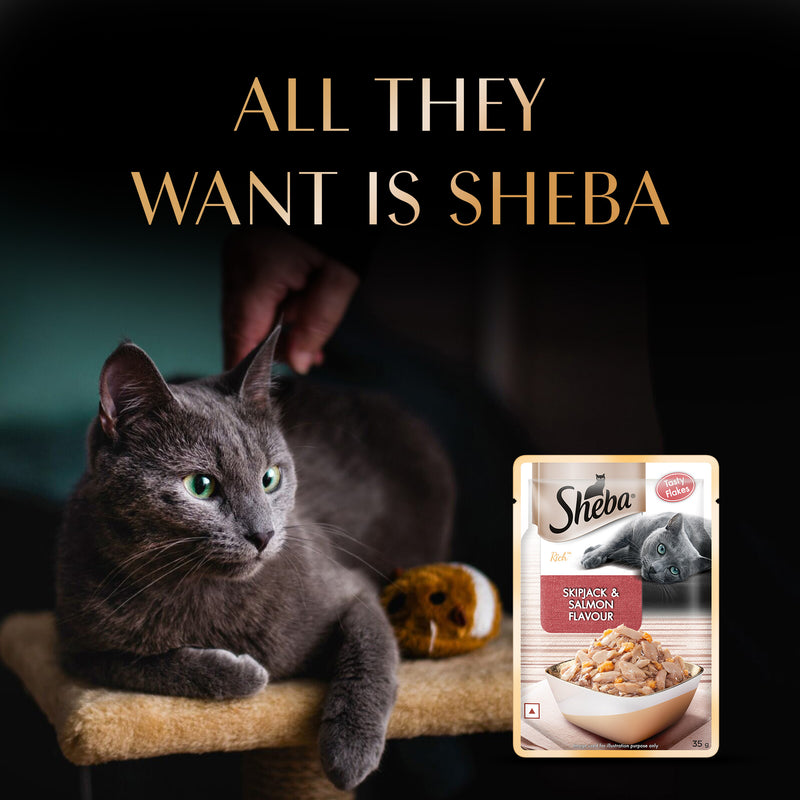 Sheba Rich Premium Adult (1+ Years) SkipJack & Salmon Flavour Wet Cat Food - 35 g Packs