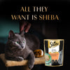 Sheba Rich Premium Chicken With Tuna In Gravy Adult Wet Cat Food - 70 gm Packs