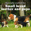 Pedigree PRO Expert Nutrition Lactating/Pregnant Mother & Puppy Starter (3-12 Weeks) Small Breed Dog Dry Food - Heads Up For Tails