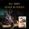 Sheba Rich Premium Adult (1+ Years) Fish with Sasami Flavour Wet Cat Food - 35 gm Packs