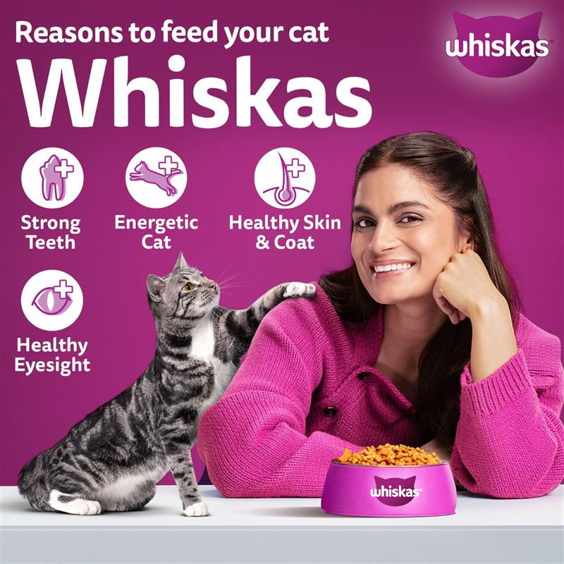 Whiskas Mackerel Dry Food For Adult Cat