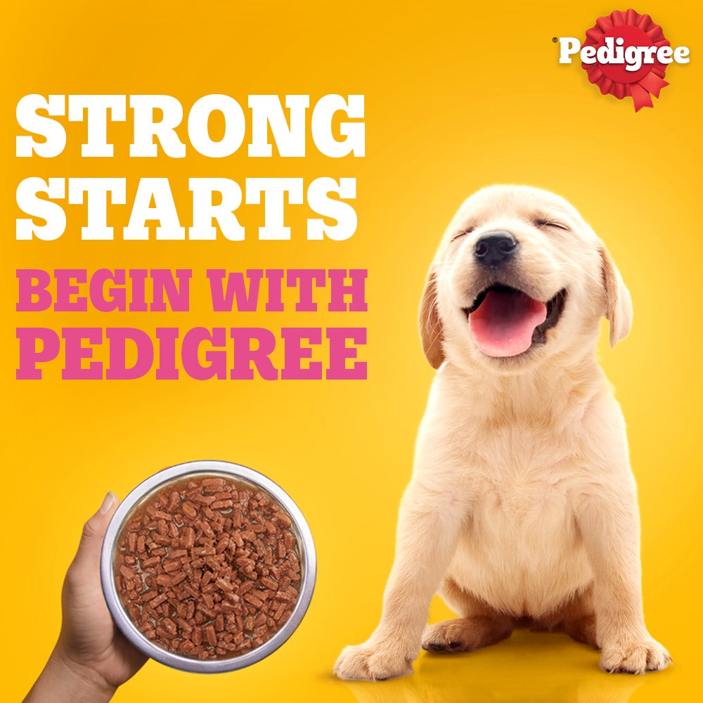 Pedigree Chicken & Liver Chunks in Gravy with Vegetables Wet Puppy Food - 70Gm Packs - Heads Up For Tails