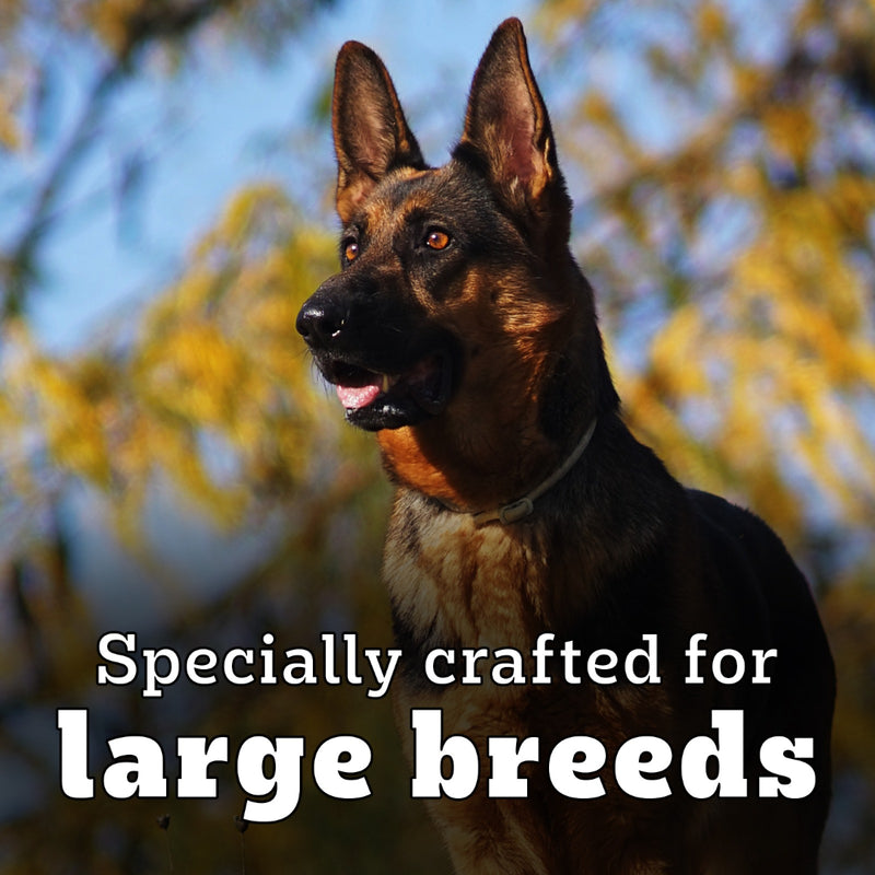 Pedigree PRO Expert Nutrition Active Adult Dry Dog Food - Heads Up For Tails