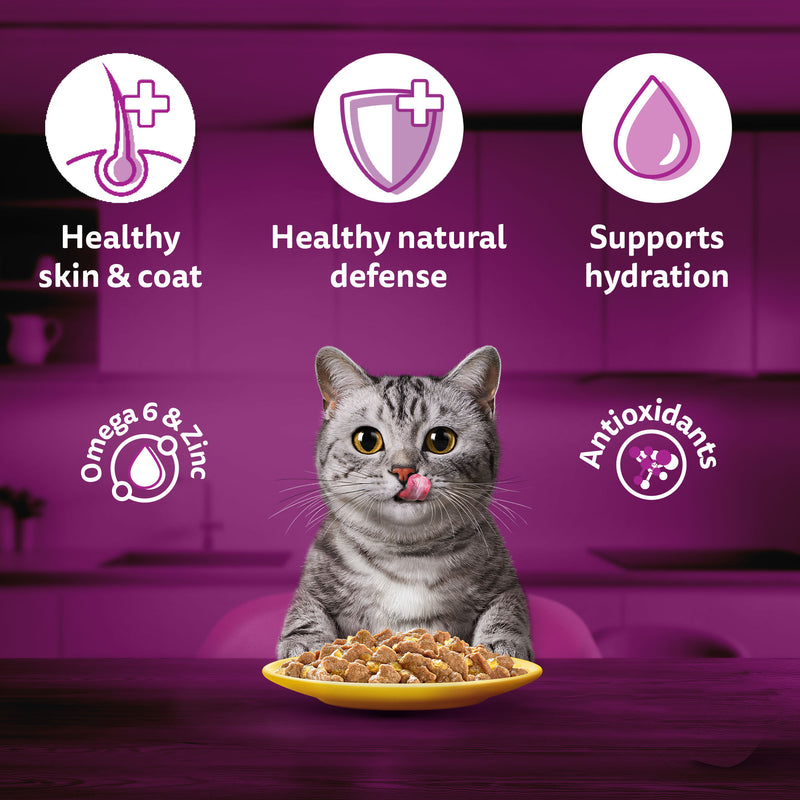 Whiskas Chicken in Gravy (1+ Years) Wet Food For Adult Cat - 80 gm Pack - Heads Up For Tails