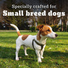 Pedigree PRO Expert Nutrition Adult Small Breed Dogs (9 Months Onwards) Dry Dog Food - Heads Up For Tails