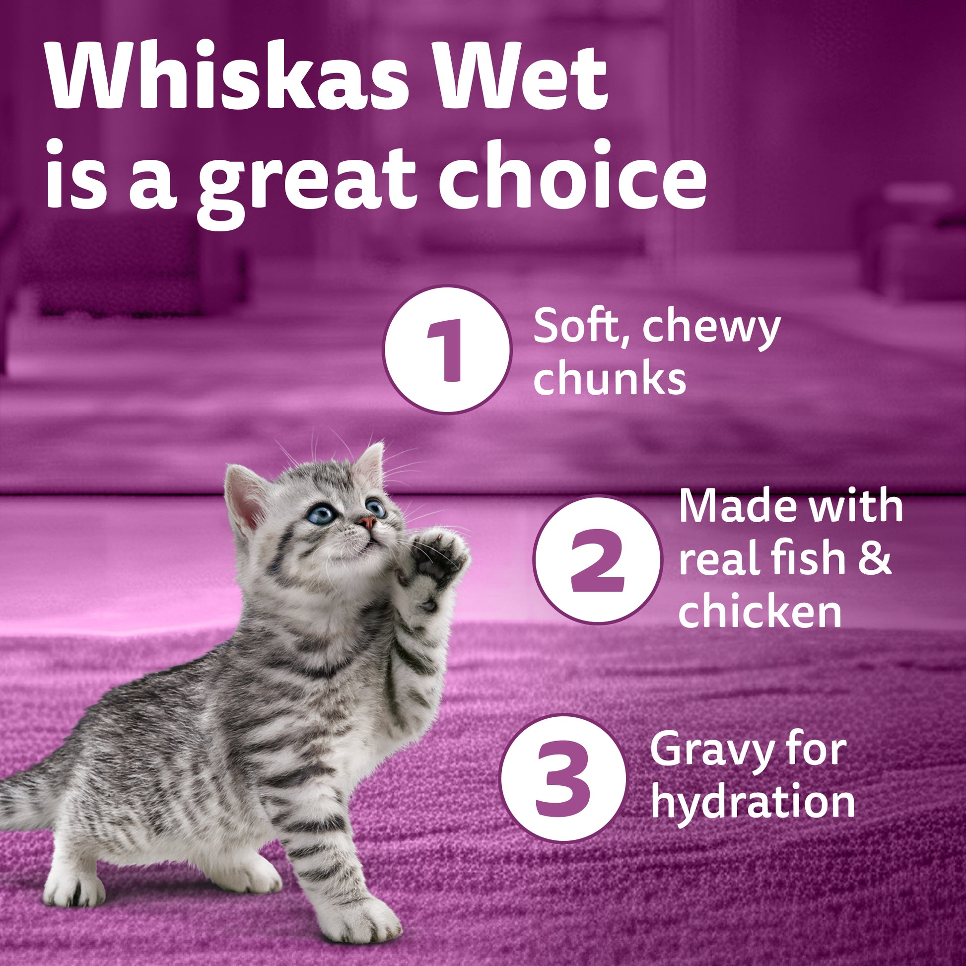 Whiskas Chicken With Salmon In Jelly Wet Food For Junior (2-12 Months) Kitten - 80 gm Pack - Heads Up For Tails