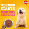 Pedigree Chicken & Liver Chunks in Gravy Wet Puppy Food - 70 g packs - Heads Up For Tails