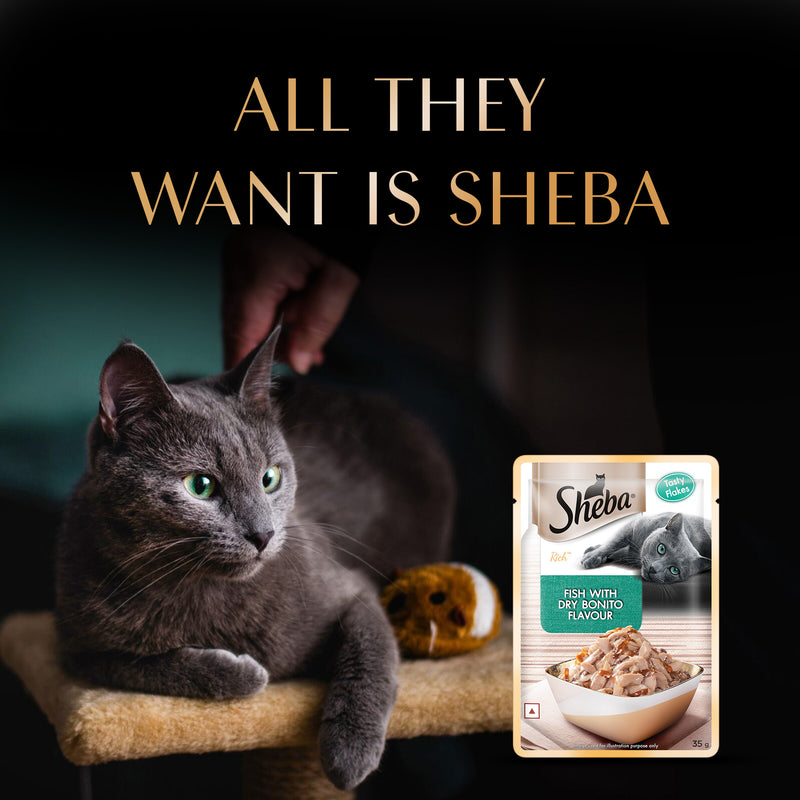 Sheba Rich Premium (1+ Years) Fish with Dry Bonito Flavour Adult Wet Cat Food - 35 g - Packs
