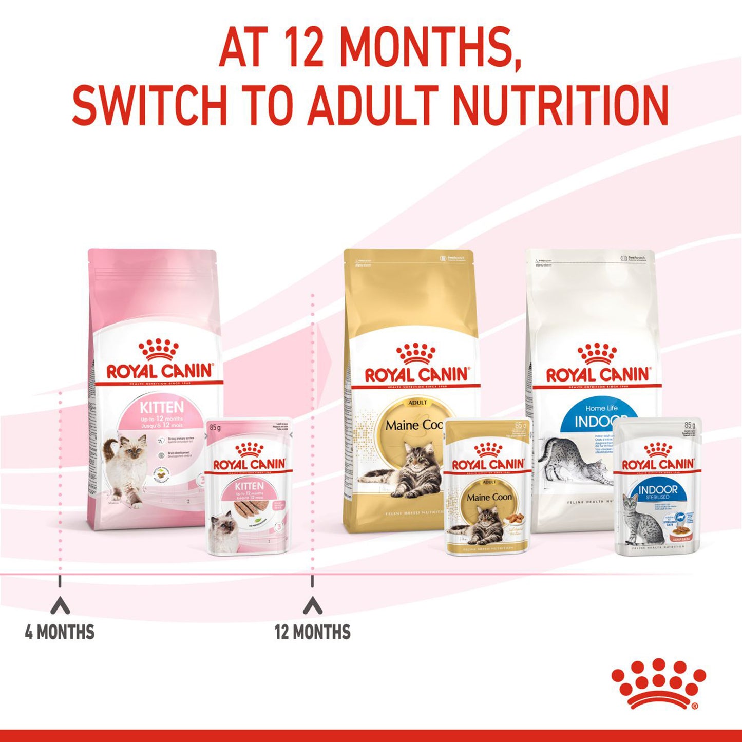 Royal Canin Loaf Wet Kitten Food - 85 g packs - Heads Up For Tails
