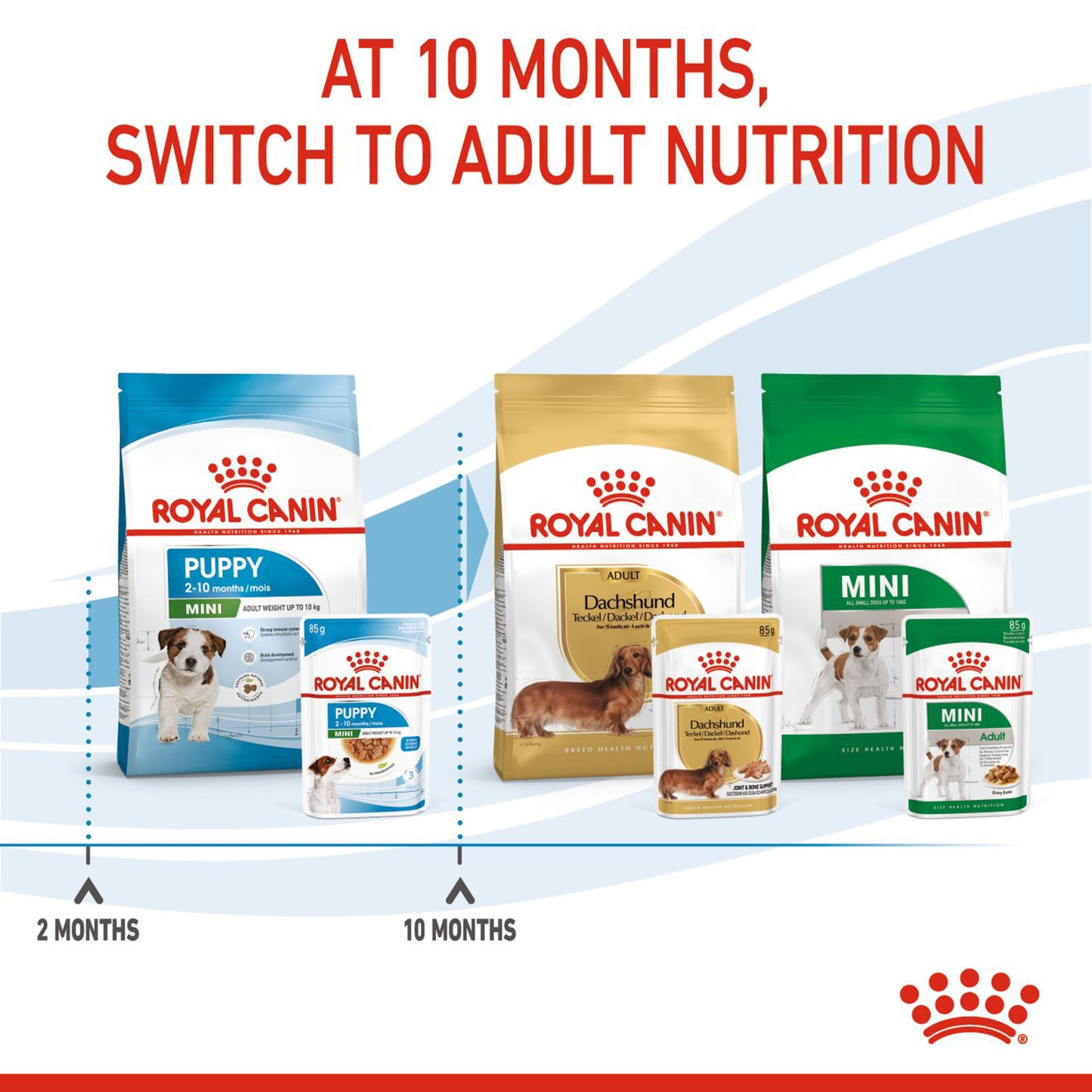 Royal Canin Puppy Mini Wet Puppy Food (1-10kg) - 85 g packs - Heads Up For Tails