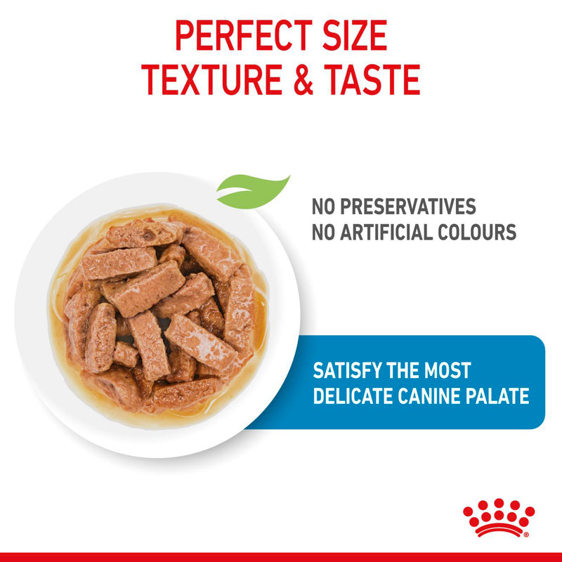 Royal Canin Maxi Breed Wet Puppy Food - 140 g - Heads Up For Tails