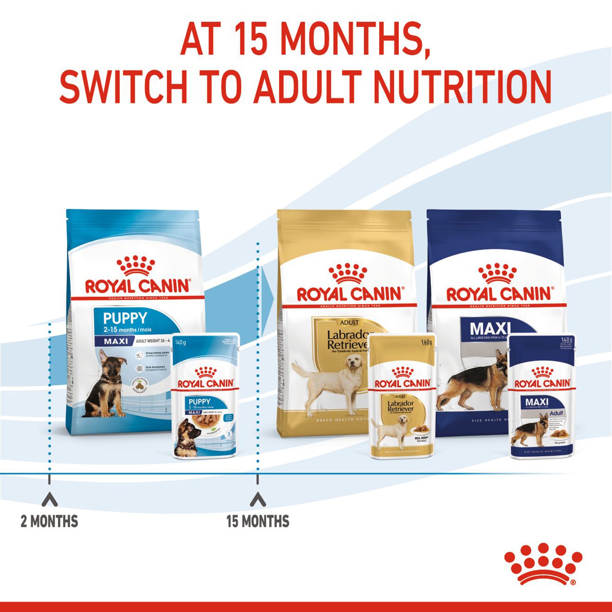Royal Canin Maxi Breed Wet Puppy Food - 140 g - Heads Up For Tails