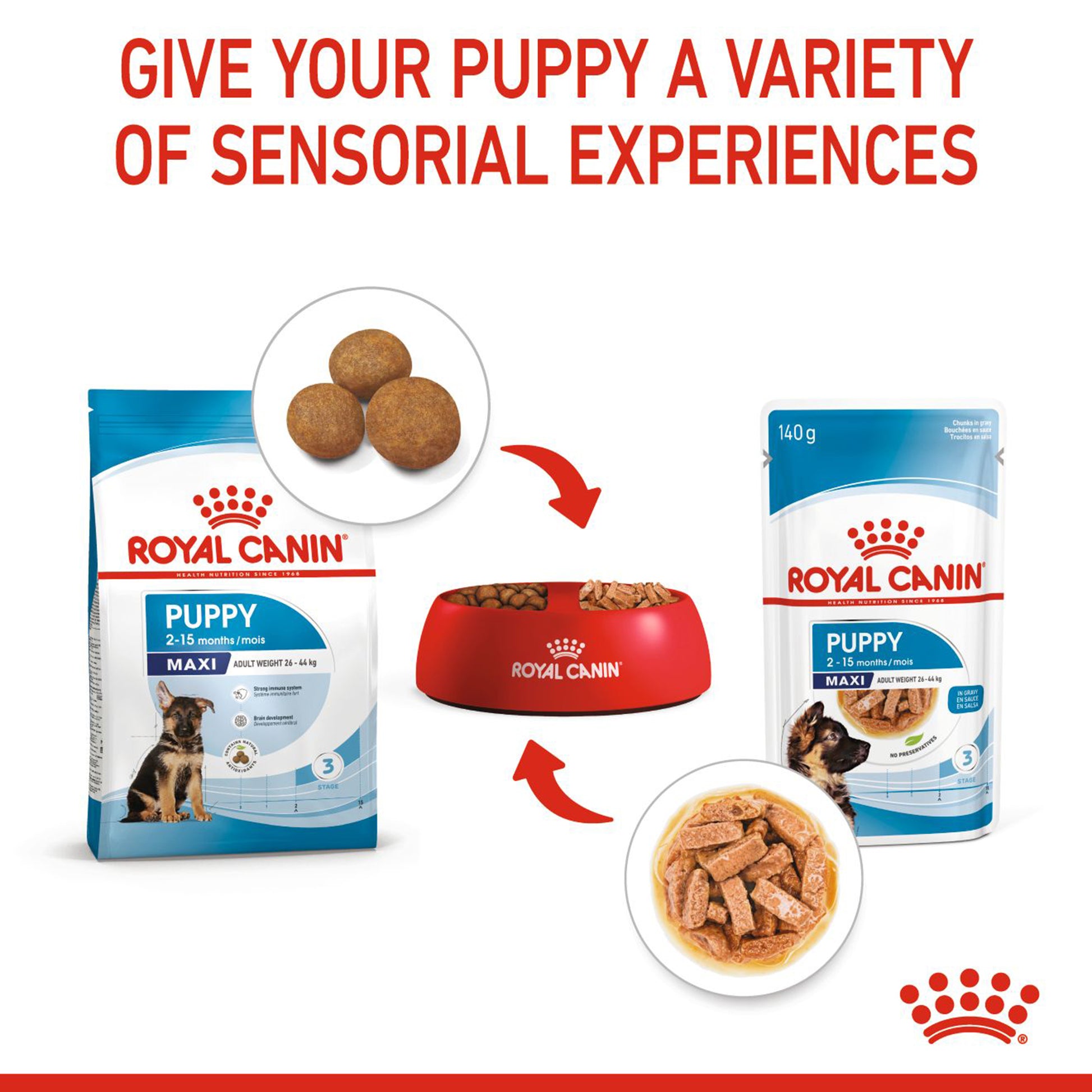 Royal Canin Maxi Breed Wet Puppy Food - 140 g - Heads Up For Tails