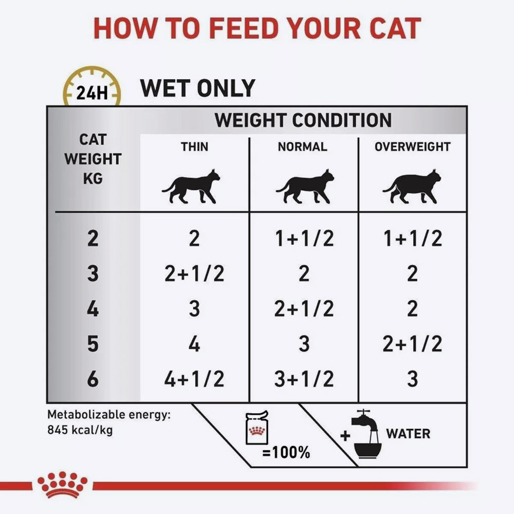 Royal Canin Urinary S/O Wet Food Pouch For Cat - 12 x 85 g - Heads Up For Tails