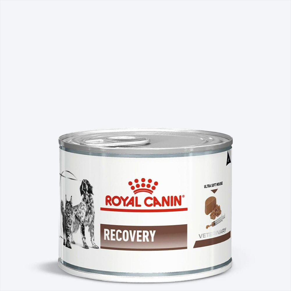 Royal Canin Veterinary Diet Recovery Canines & Felines Wet Food For Dog & Cat - 195 g - Heads Up For Tails