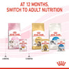 Royal Canin Kitten Jelly Wet Cat Food - 85 g packs - Heads Up For Tails