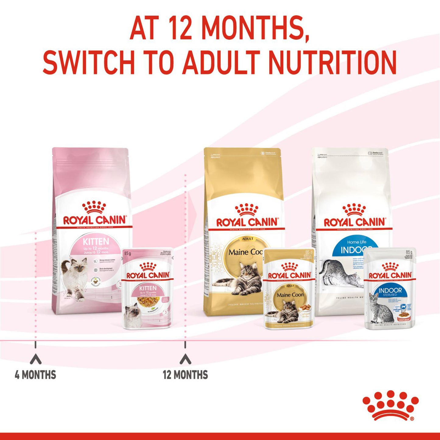 Royal Canin Kitten Jelly Wet Cat Food - 85 g packs - Heads Up For Tails