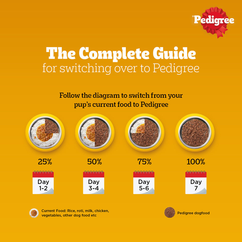 Pedigree Chicken & Liver Chunks in Gravy Adult Wet Dog Food - 70 g packs - Heads Up For Tails