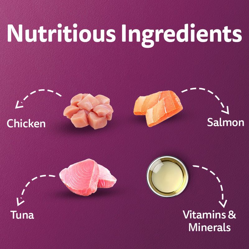 Whiskas Chicken with Salmon in Jelly Flavour (1+ Years) Adult Cat Wet Food - 80 gm Pack