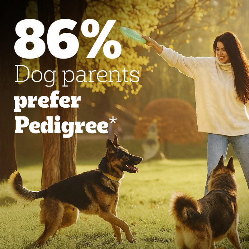 Pedigree PRO Expert Nutrition Active Adult Dry Dog Food - Heads Up For Tails