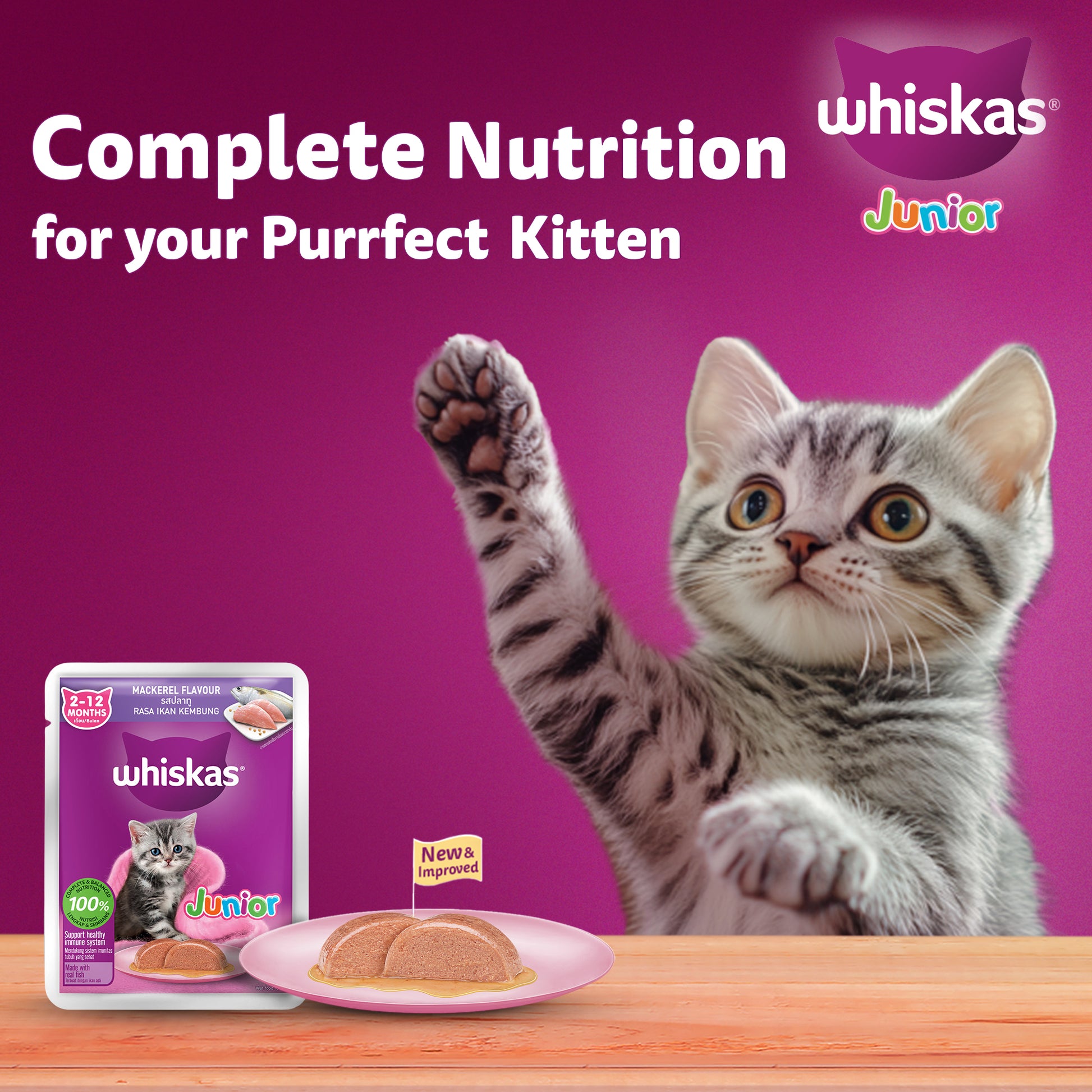 Whiskas Mackerel In Jelly Wet Food For Junior (2-12 Months) Kitten - 80 gm Pack - Heads Up For Tails