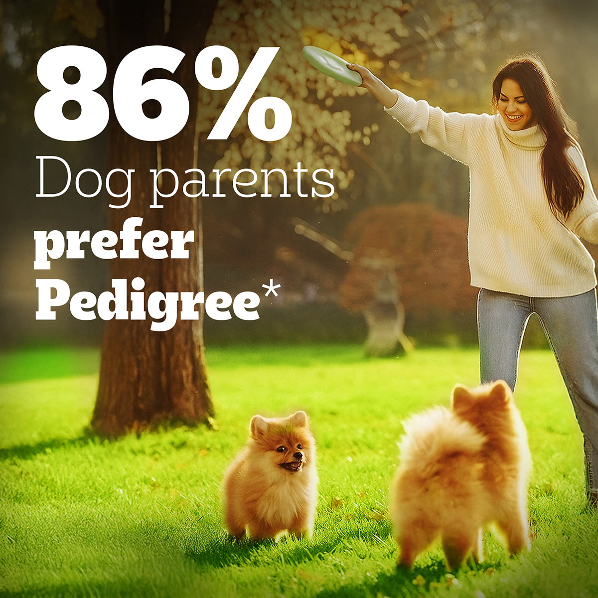 Pedigree PRO Expert Nutrition Dry Dog Food For Large Breed Puppy (3-18 Months) - Heads Up For Tails