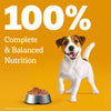 Pedigree Chicken & Liver Chunks in Gravy Wet Puppy Food - 70 g packs - Heads Up For Tails