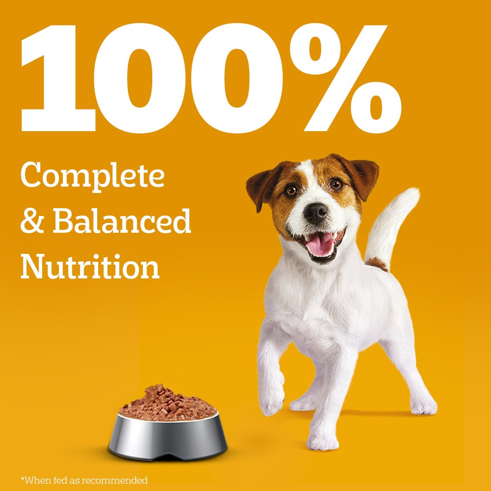 Pedigree Chicken & Liver Chunks in Gravy Wet Puppy Food - 70 g packs - Heads Up For Tails