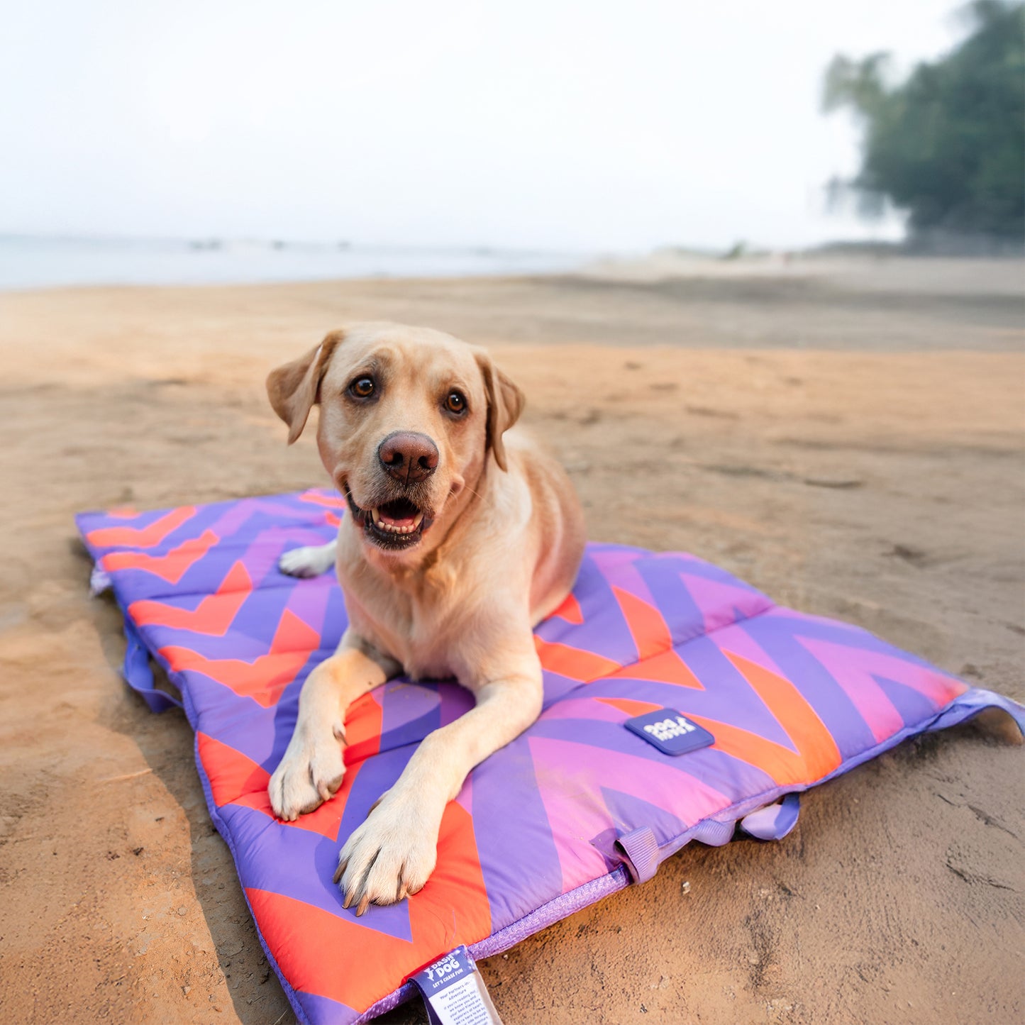 Dash Dog Zig Zaggers Water Repellent Portable Mat For Dog - Orange & Purple - Heads Up For Tails