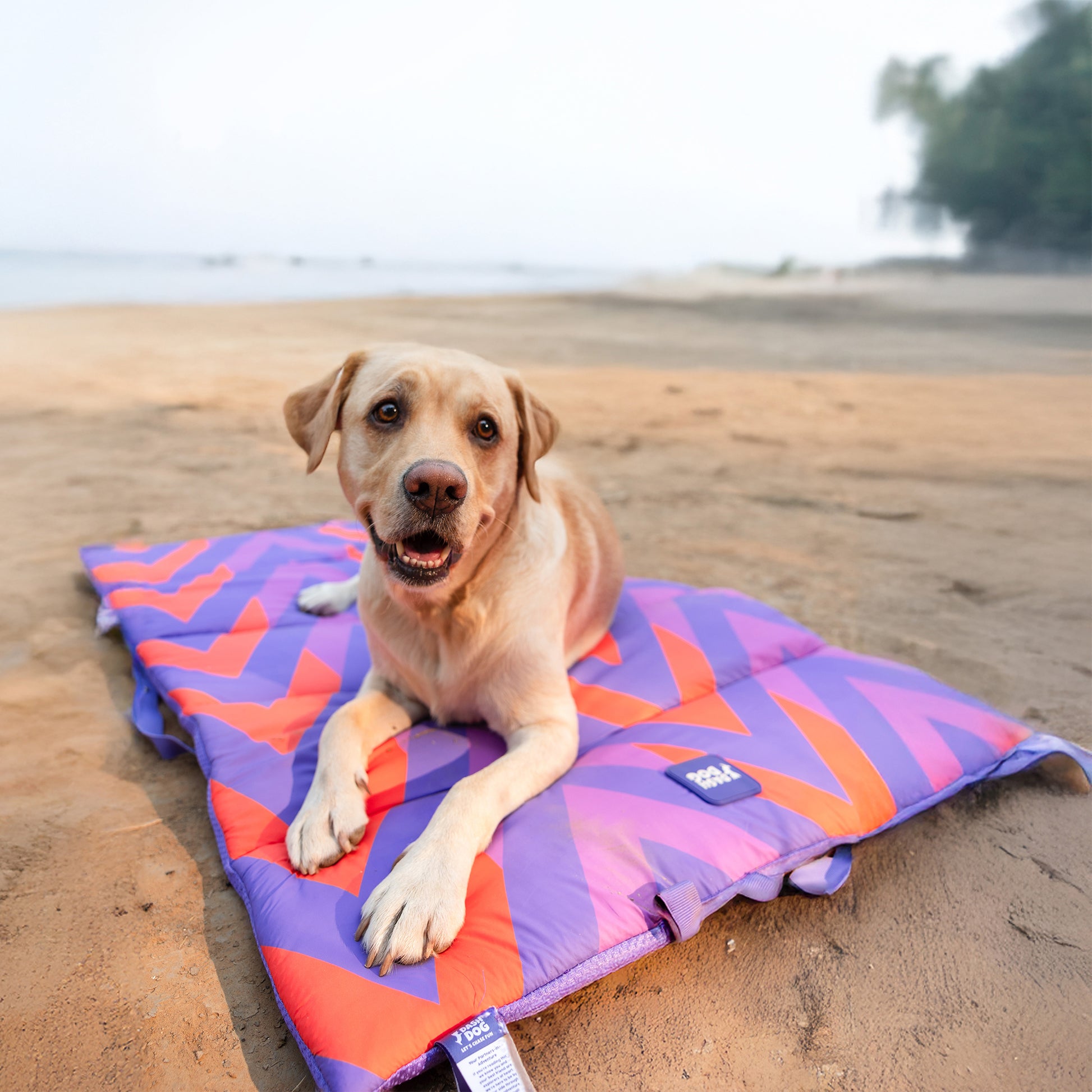 Dash Dog Zig Zaggers Water Repellent Portable Mat For Dog - Orange & Purple - Heads Up For Tails