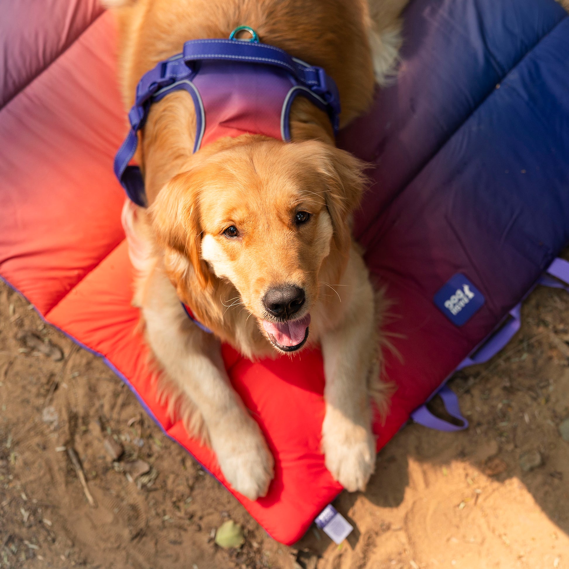 Dash Dog Sunset Fade Water Repellent Portable Mat For Dog - Orange & Blue - Heads Up For Tails