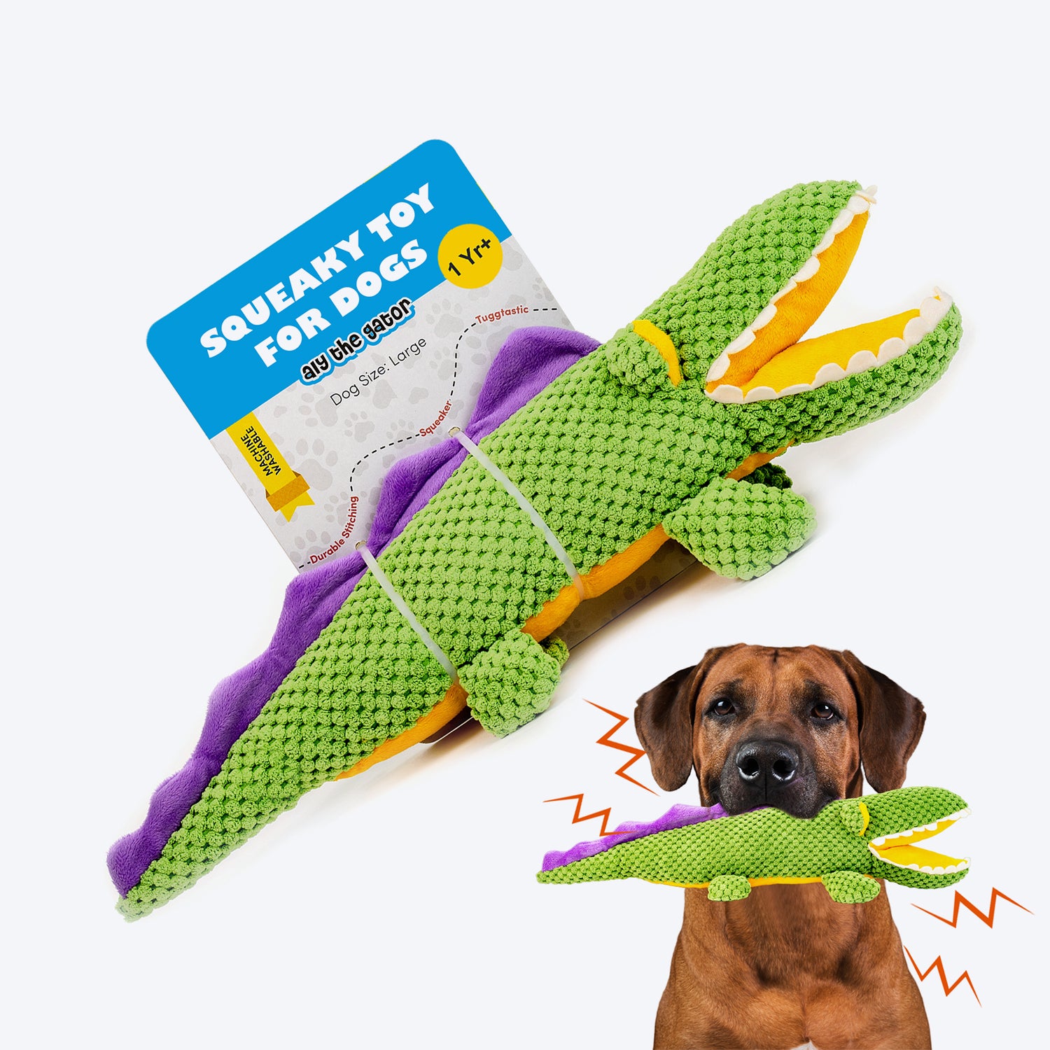 Barkbutler Aly The Gator Squeaky Plush Toy For Dog - Green - Heads Up For Tails