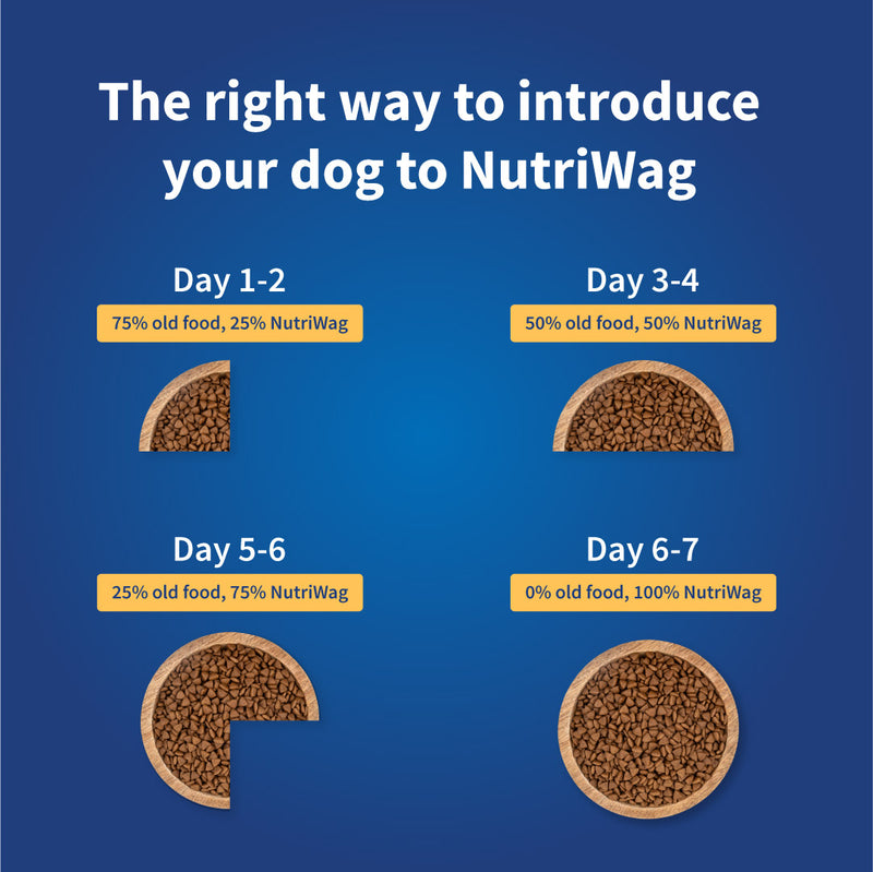 NutriWag Chicken & Rice Dry Food For Adult Dog - Heads Up For Tails