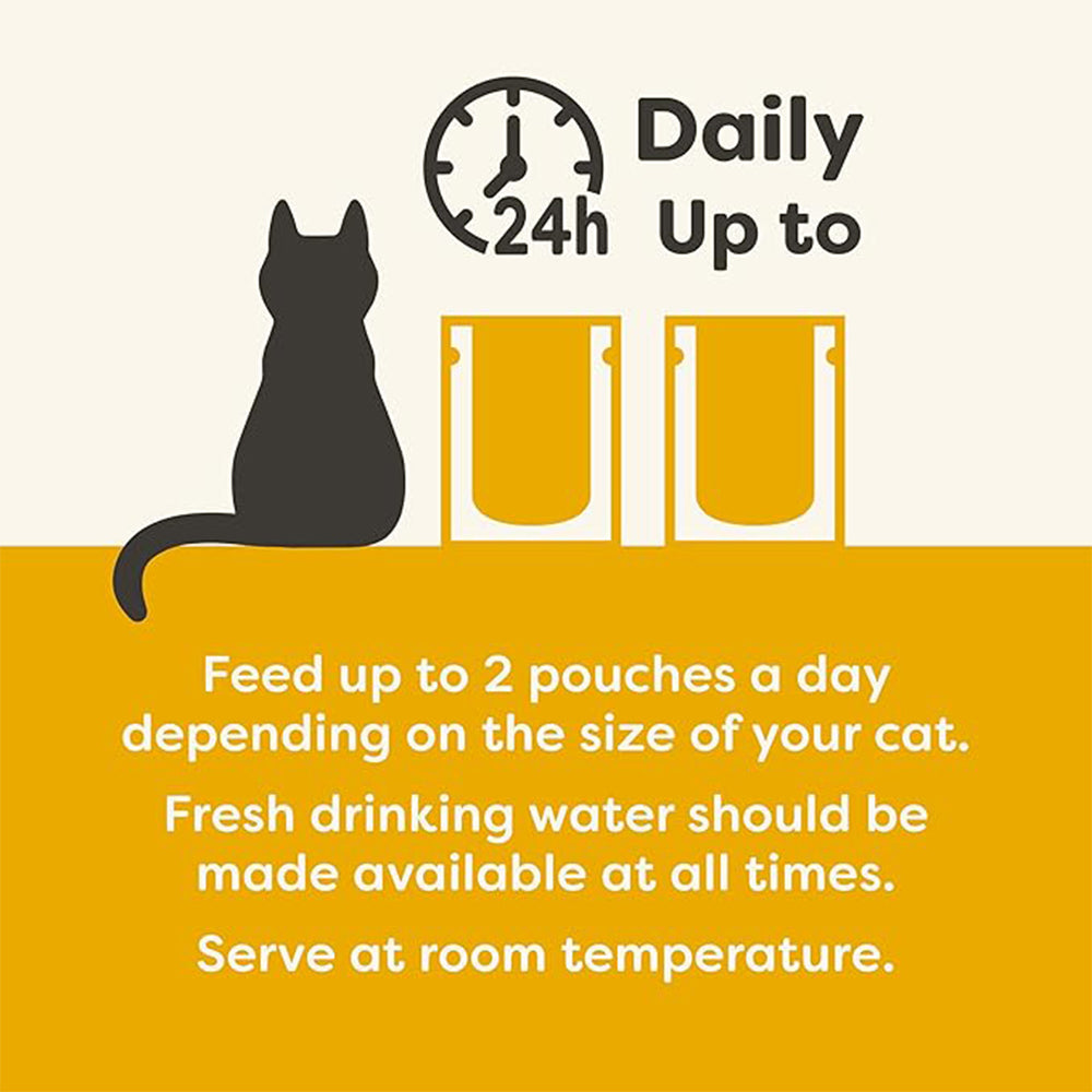Applaws 75% Chicken Breast with Pumpkin in Broth Natural Wet Cat Food - 70 g - Heads Up For Tails