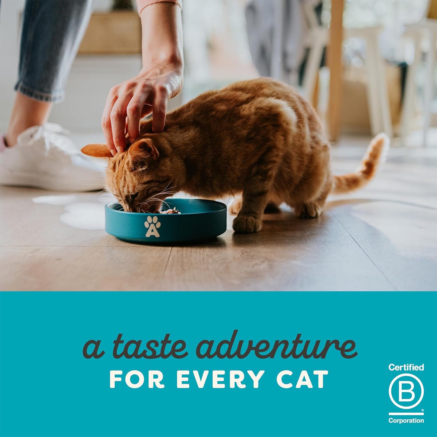 Applaws Natural Cat 55% Tuna with 7% Salmon in Jelly Wet Cat Food - 70 g - Heads Up For Tails