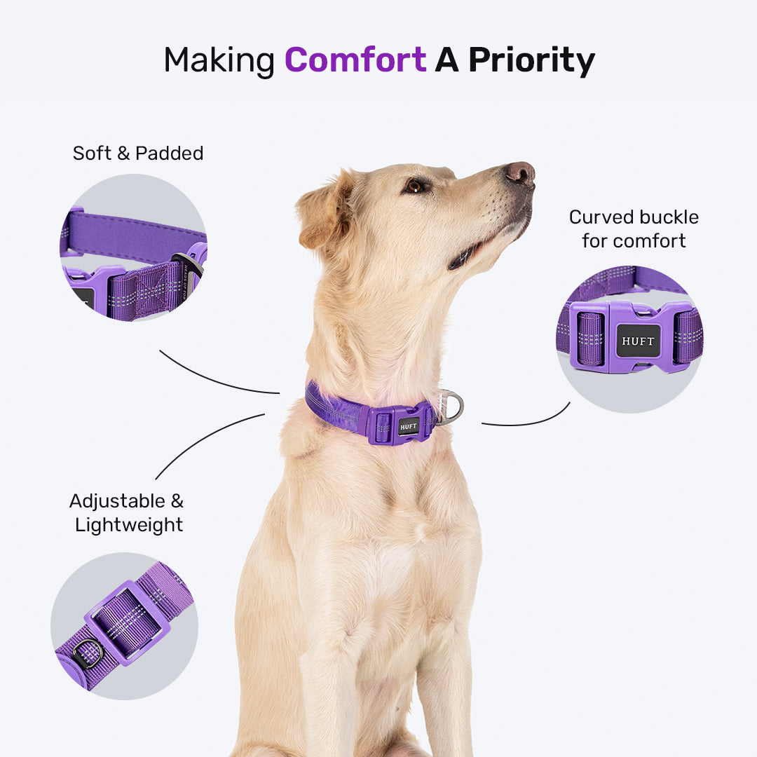 HUFT Comfort Plus Collar For Dog - Purple - Heads Up For Tails