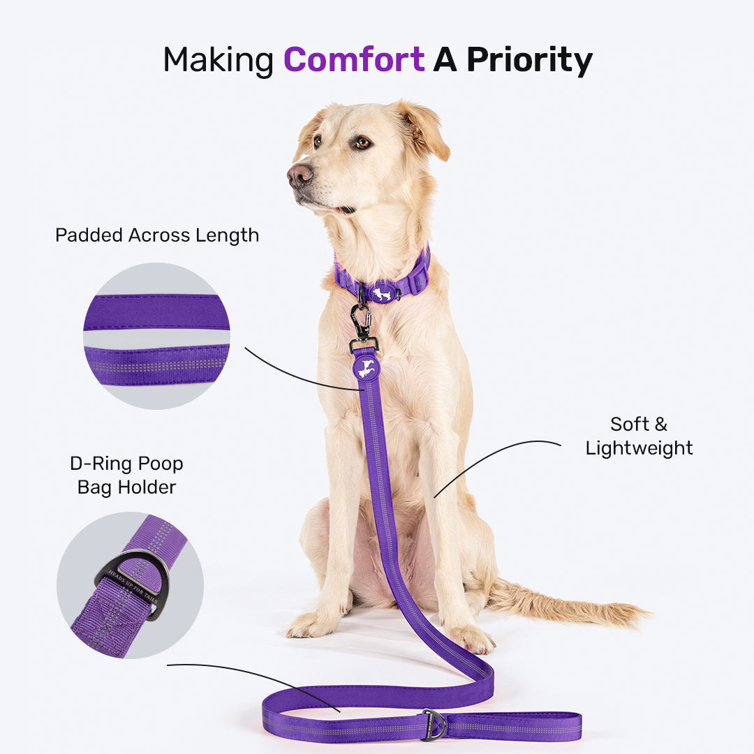 HUFT Comfort Plus Leash For Dog - Purple - Heads Up For Tails