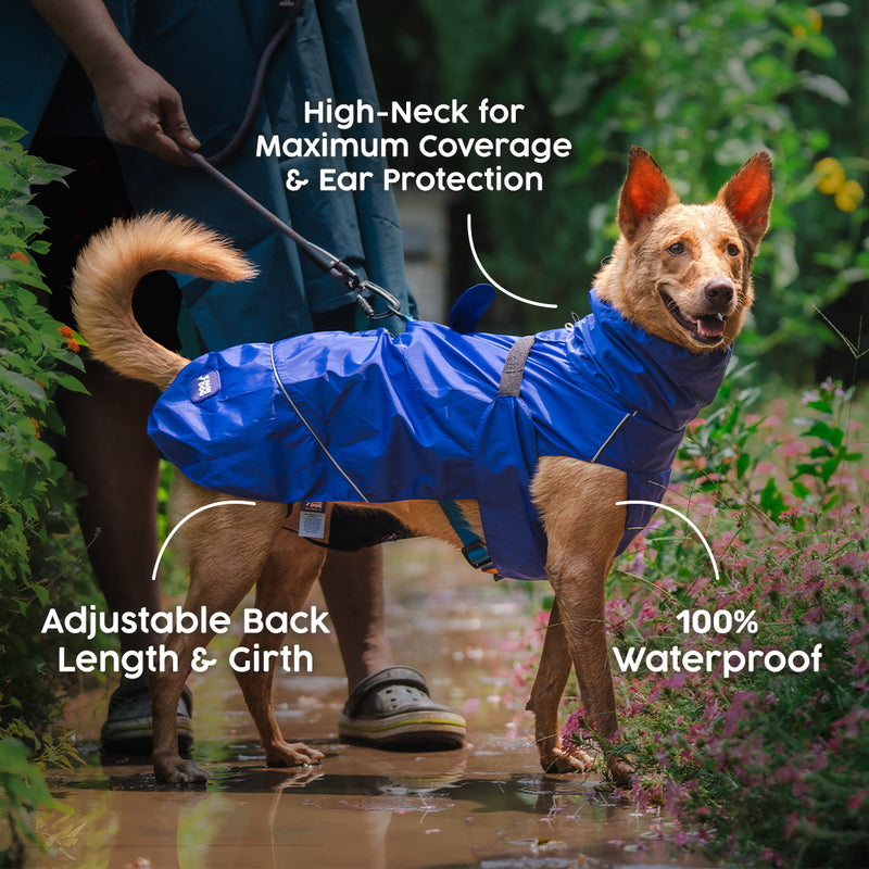 Dash Dog DewDrop Raincoat For Dog - Navy Blue - Heads Up For Tails