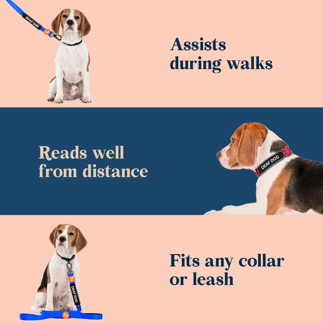 HUFT Trooper Walking Aid Leash & Collar Insert (Deaf Dog) - Heads Up For Tails